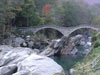 pa243778.jpg
